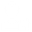 Developer